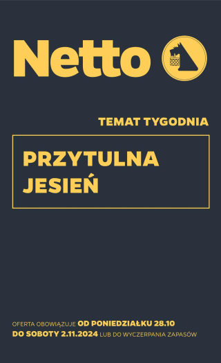 Netto gazetka - Non food