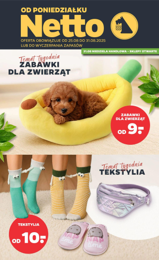 Netto gazetka - Non food