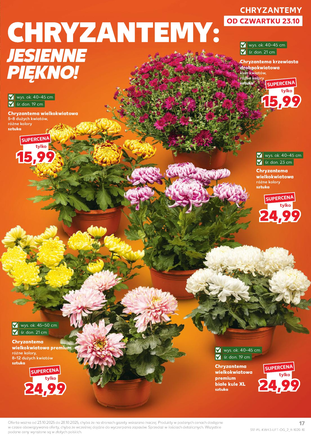 Leták Kaufland gazetka Rybnik, Polsko - strana 17