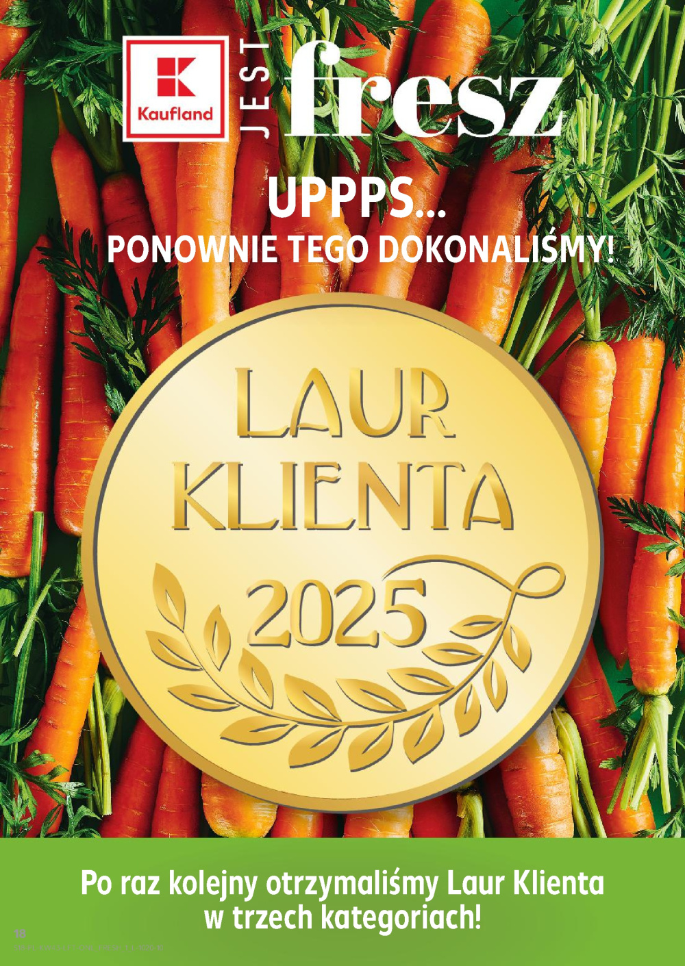 Leták Kaufland gazetka Rybnik, Polsko - strana 18