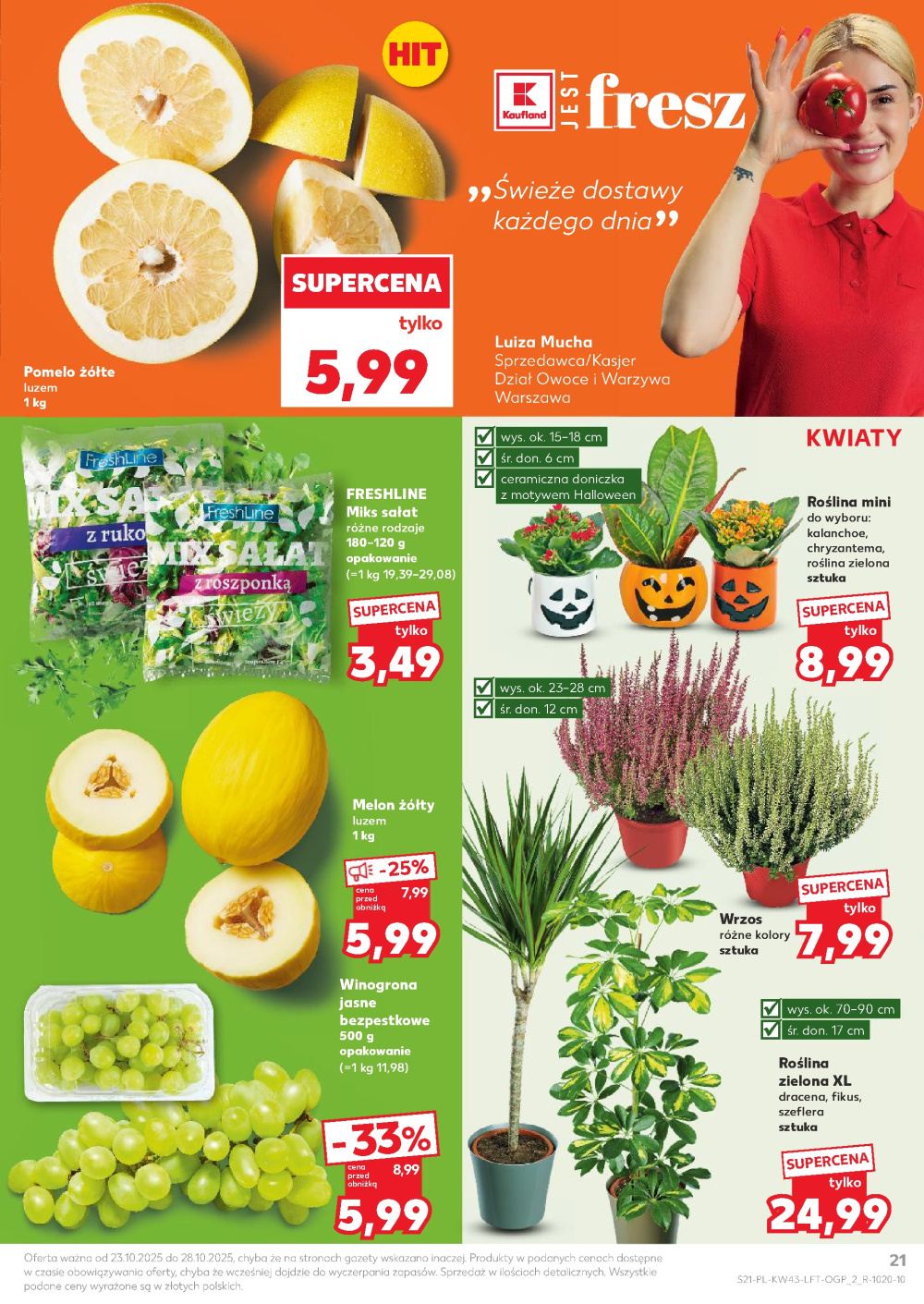 Leták Kaufland gazetka Rybnik, Polsko - strana 21