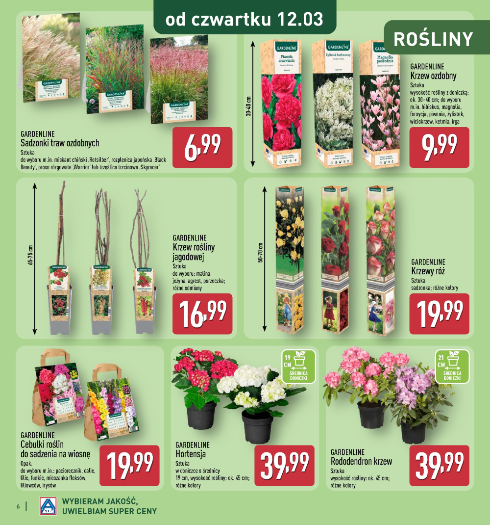 Leták Aldi offerta - Katalog ogrodowy, Polsko - strana 6