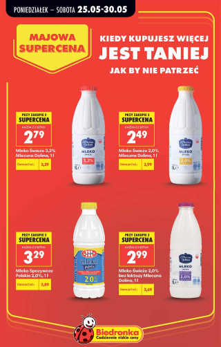 Biedronka gazetka