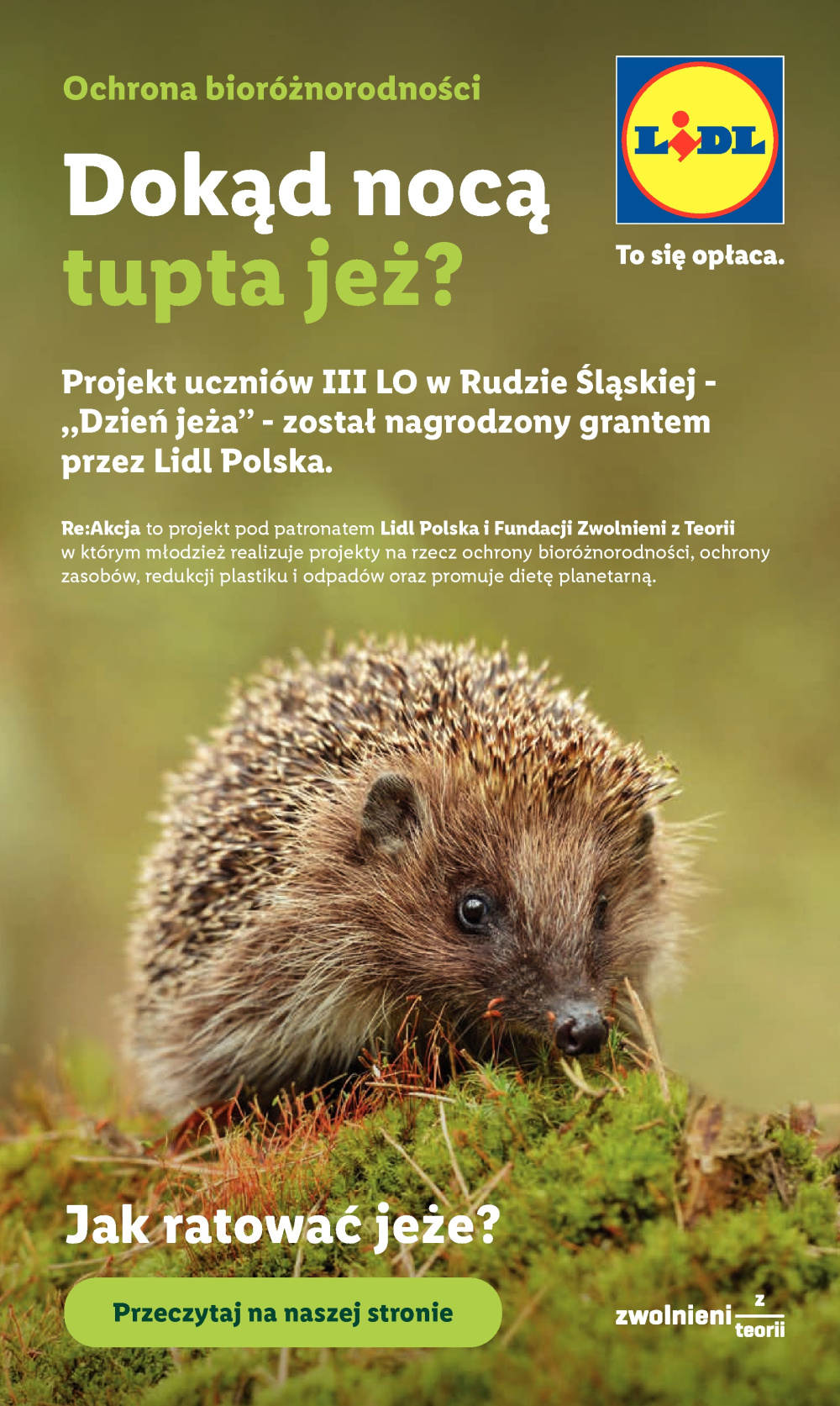 Leták Lidl katalog, Polsko - strana 53