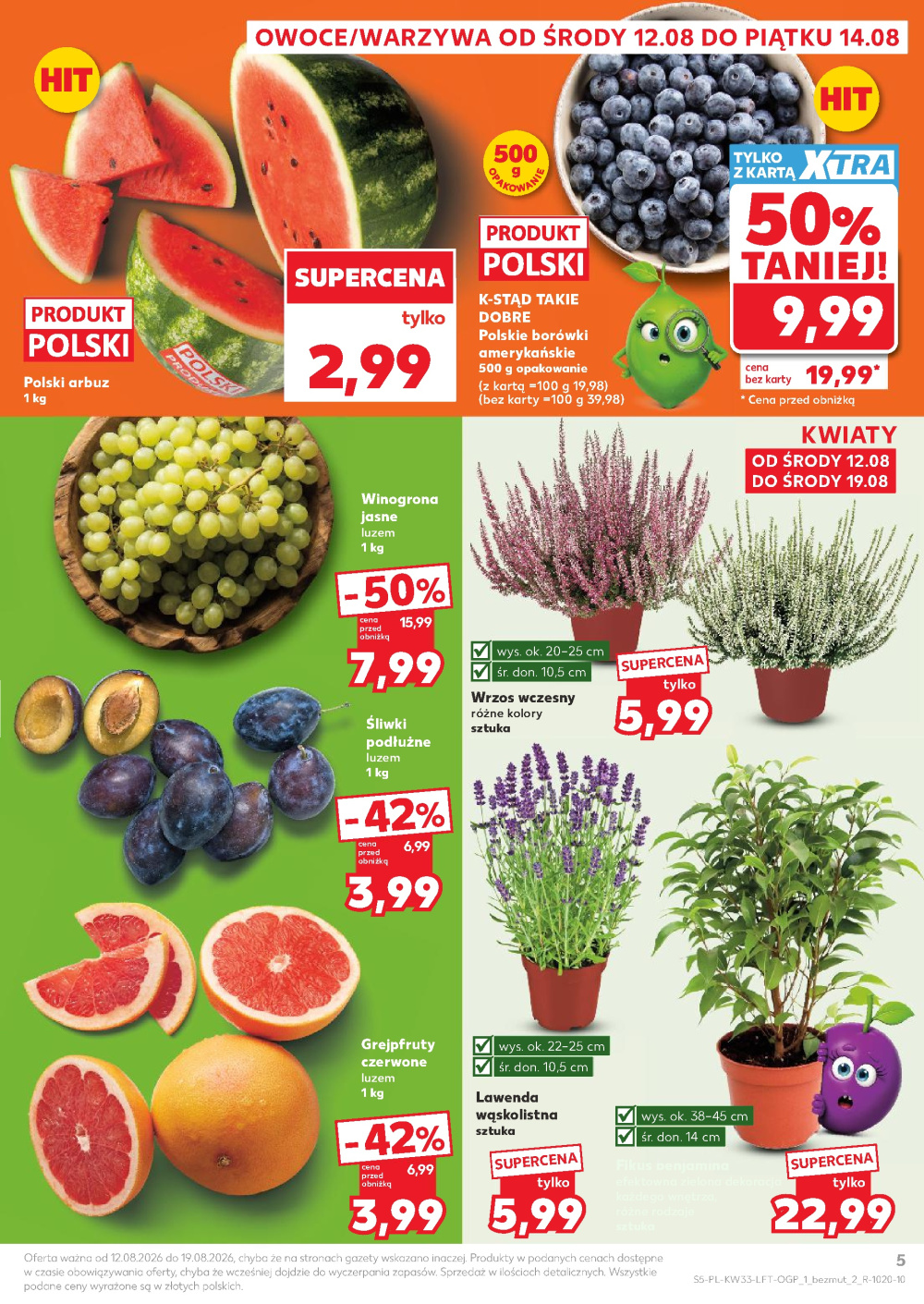 Leták Kaufland gazetka Cieszyn, Polsko - strana 5