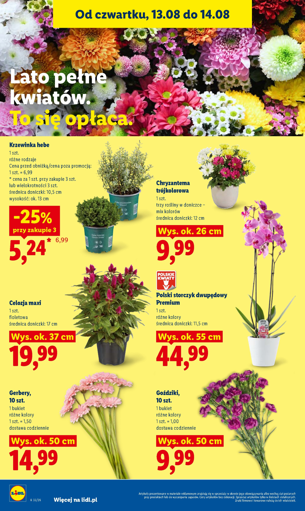 Leták Lidl gazetka, Polsko - strana 88