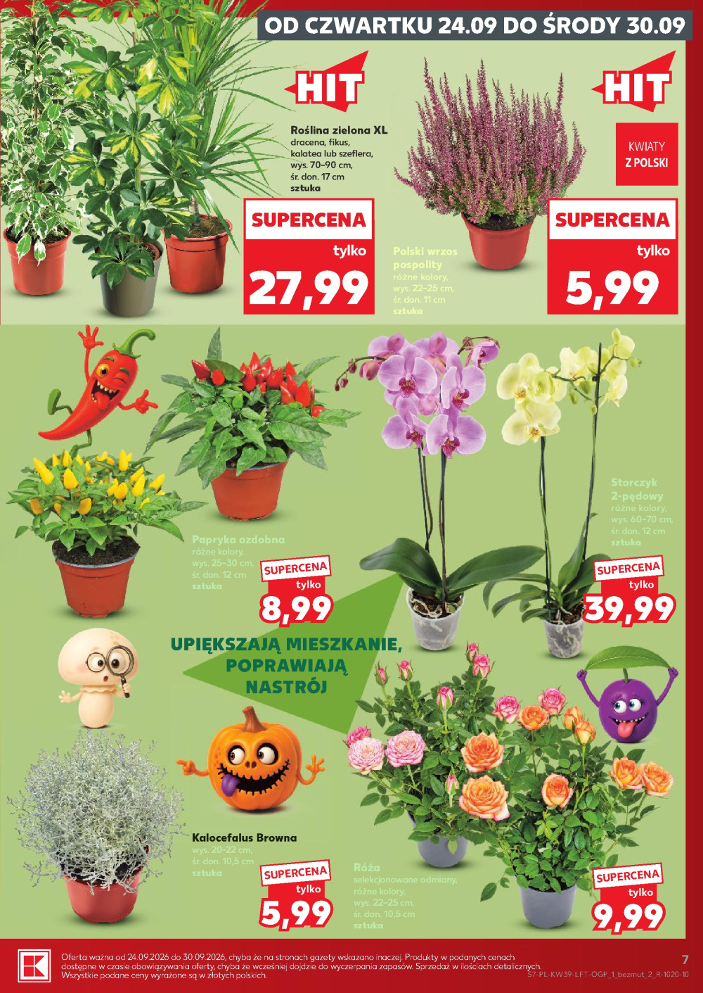 Leták Kaufland gazetka Cieszyn, Polsko - strana 7