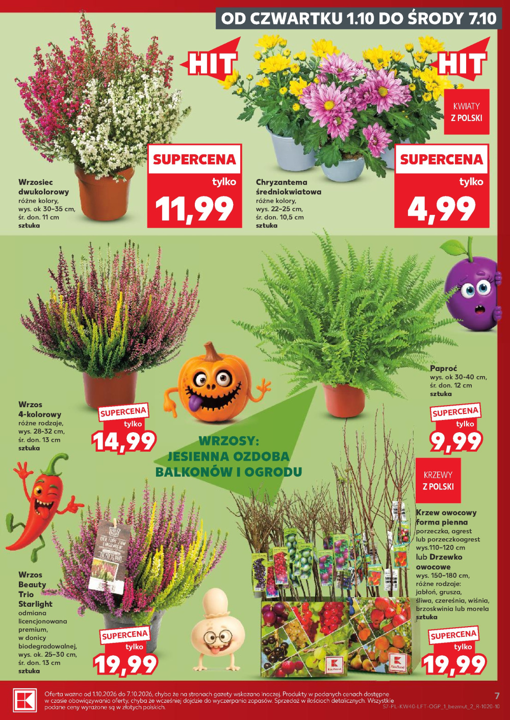 Leták Kaufland gazetka Cieszyn, Polsko - strana 7