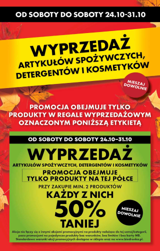 Biedronka gazetka specjalna
